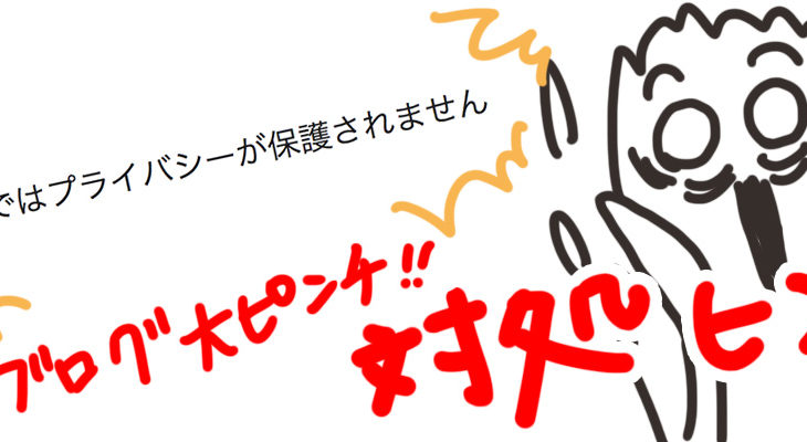 ブログのピンチ この接続ではプライバシーが保護されません が出た時の対処 ことりアワー